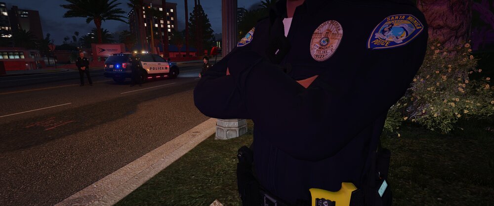 Could contain: tree, outdoor, clothing, person, car, vehicle, night, street, ground