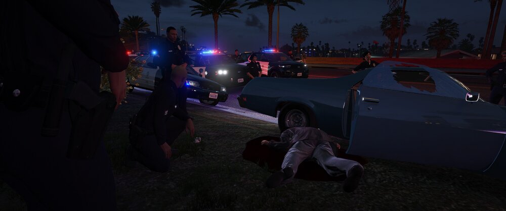 Could contain: outdoor, vehicle, land vehicle, wheel, tire, tree, car, night, ground, truck