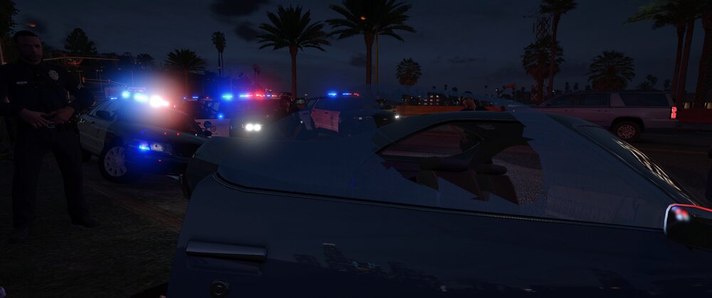 Could contain: outdoor, vehicle, land vehicle, tree, car, light, night