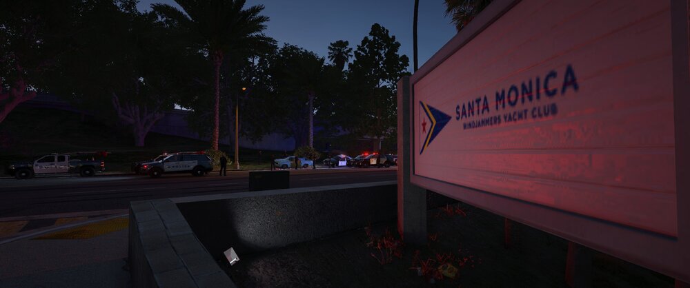 Could contain: outdoor, tree, sky, vehicle, land vehicle, car, road surface, road, street, night