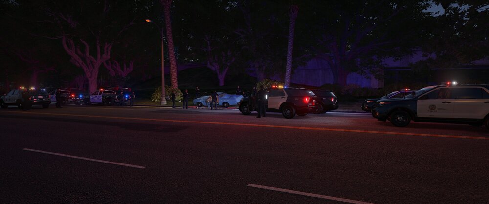 Could contain: outdoor, vehicle, land vehicle, road, wheel, tree, car, night, street, light, parked