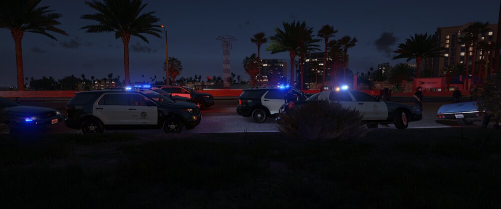 Could contain: outdoor, vehicle, land vehicle, sky, tree, wheel, car, palm tree, truck, night, palm, light, parked, street