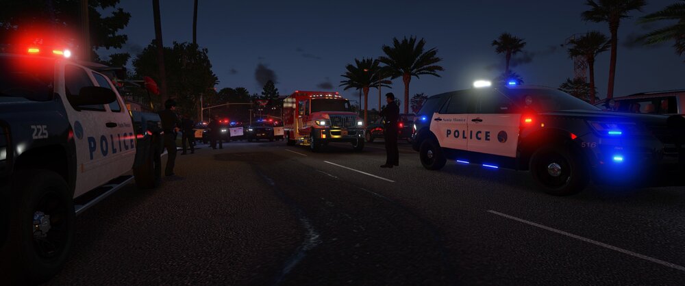 Could contain: outdoor, vehicle, land vehicle, sky, tree, road, transport, street, wheel, light, car, street light, van, night, traffic, police