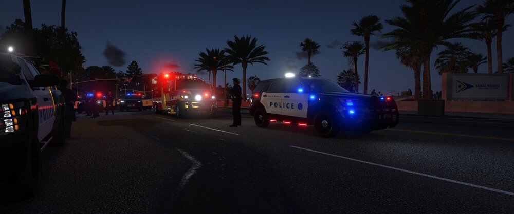 Could contain: outdoor, sky, vehicle, land vehicle, tree, road, street light, road surface, street, palm tree, palm, thoroughfare, car, light, night