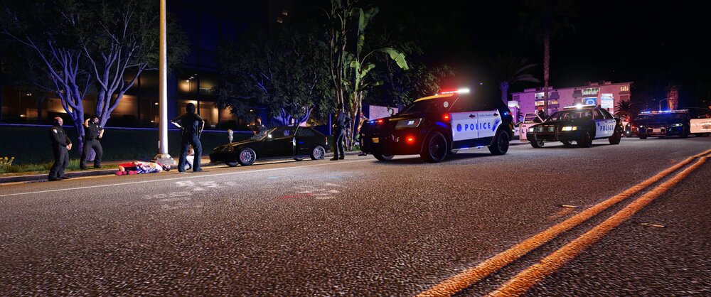Could contain: outdoor, vehicle, road, land vehicle, tree, street, wheel, road surface, firefighter, night, asphalt, truck, light, ground, city