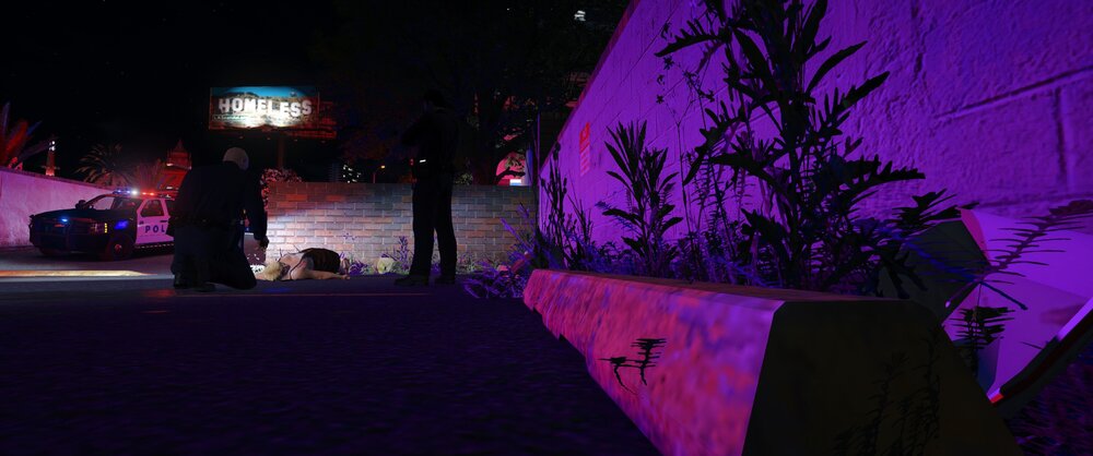 Could contain: outdoor, tree, plant, magenta, violet, majorelle blue, purple, light, night, street