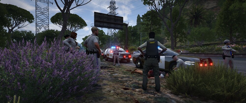 Could contain: outdoor, sky, tree, flower, ground, person, people, plant, purple