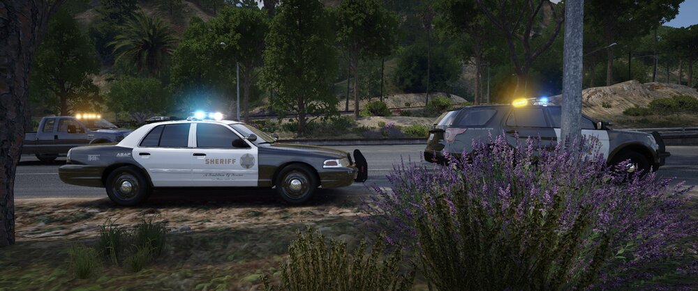 Could contain: outdoor, vehicle, land vehicle, tree, wheel, plant, tire, transport, grass, car, road, purple, parked