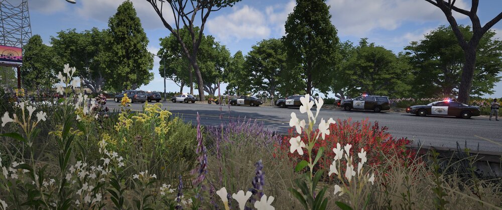 Could contain: outdoor, sky, cloud, plant, road, car, garden, grass, flower, street, tree