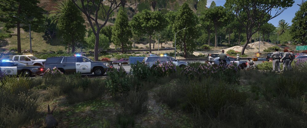 Could contain: outdoor, tree, vehicle, land vehicle, grass, car, plant, wheel, parked, area