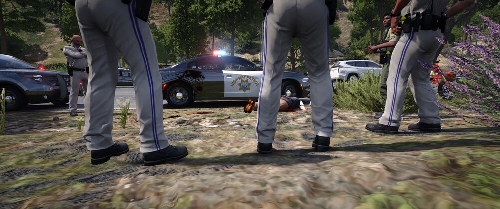 Could contain: outdoor, car, footwear, tree, vehicle, land vehicle, plant, trousers, clothing, person, ground, grass