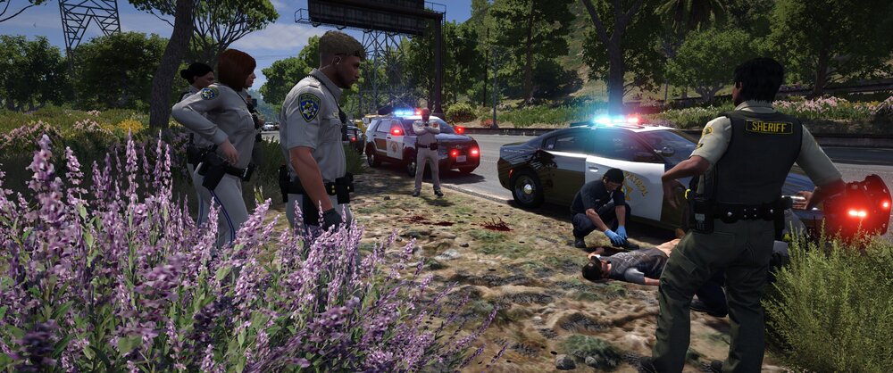 Could contain: outdoor, tree, flower, person, man, clothing, lavender, people, land vehicle, ground, grass, group, purple, plant, standing