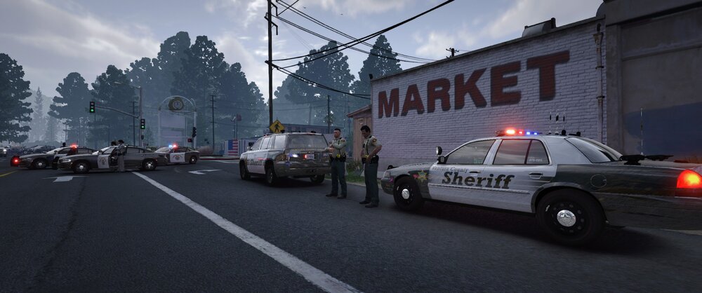 Could contain: vehicle, outdoor, land vehicle, sky, wheel, road, transport, car, street, text, tire, emergency service, tree, law enforcement, police, light