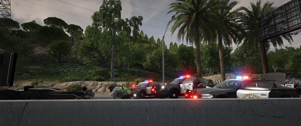 Could contain: outdoor, tree, sky, car, palm tree, land vehicle, vehicle, road, palm, street