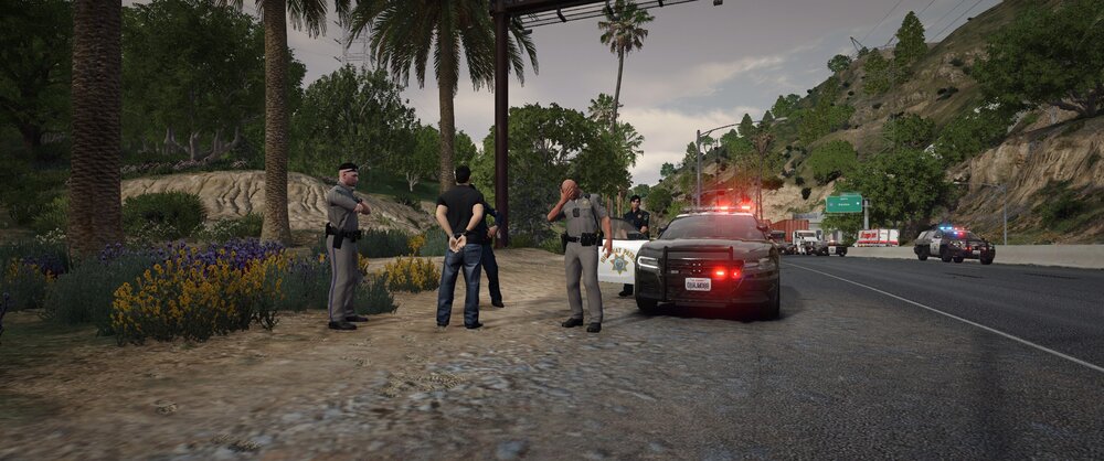 Could contain: outdoor, vehicle, tree, land vehicle, road, sky, vehicle registration plate, way, plant, ground, car, people, street, person