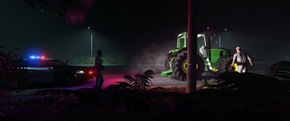 Could contain: concert, outdoor, plant, music