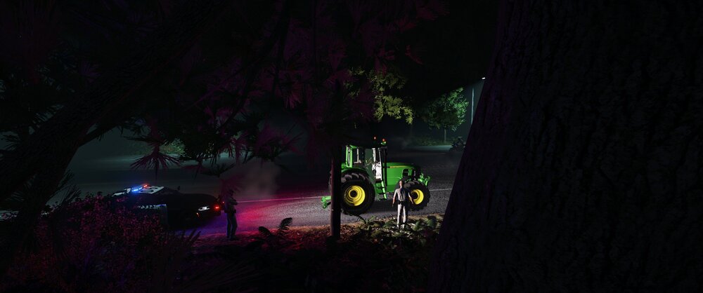 Could contain: tree, darkness, plant, outdoor, light, dark, night