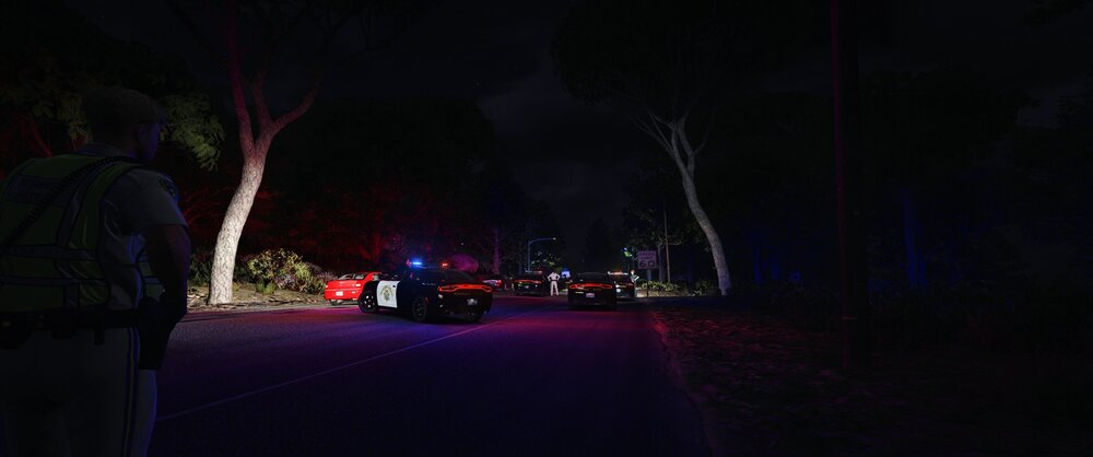 Could contain: outdoor, car, vehicle, tree, darkness, land vehicle, night, person, dark, street, light
