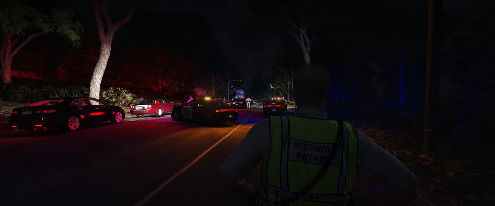 Could contain: outdoor, tree, vehicle, night, darkness, car, road, street, light