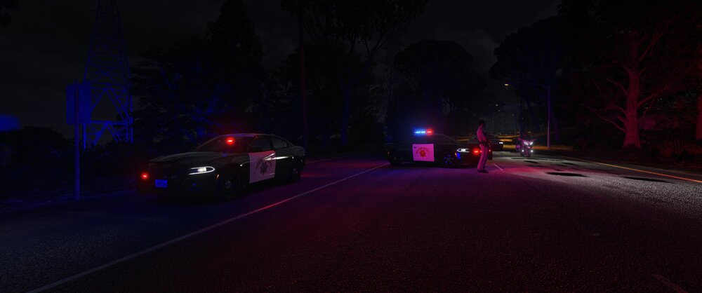 Could contain: outdoor, road, vehicle, land vehicle, street, tree, night, road surface, darkness, light, asphalt, car, way, dark