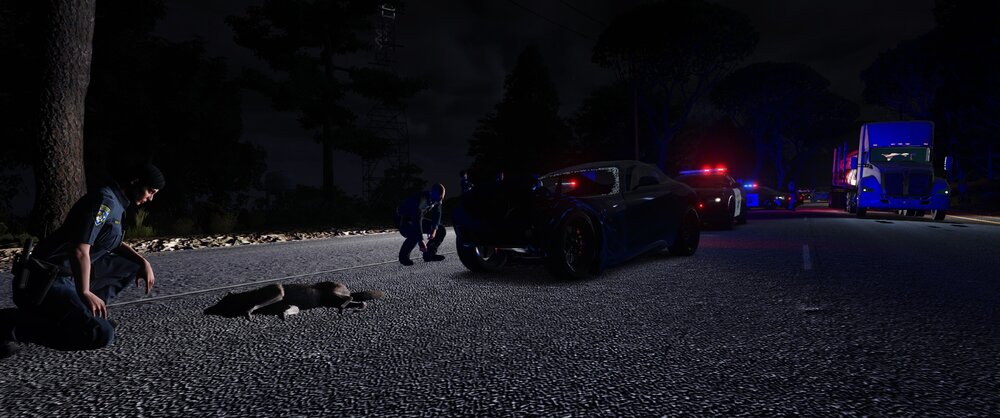 Could contain: outdoor, ground, car, vehicle, road, land vehicle, tree, night, people, way, street