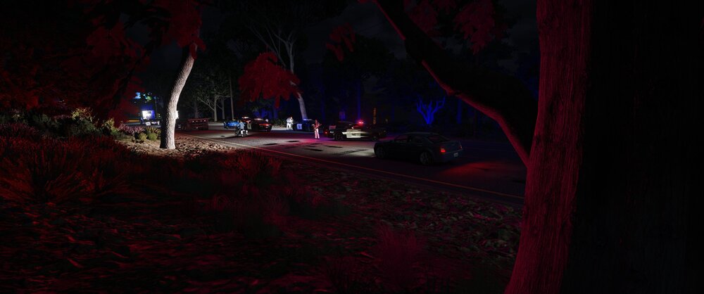 Could contain: outdoor, cave, darkness, tree, night, light