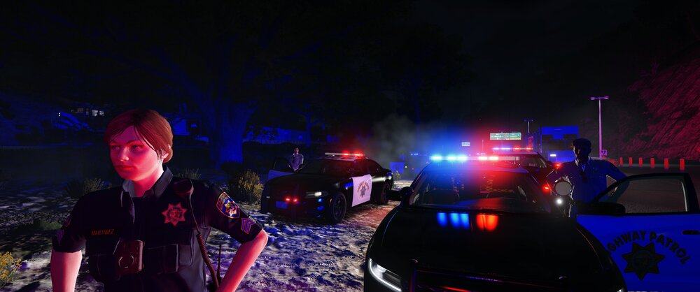 Could contain: vehicle, land vehicle, outdoor, clothing, wheel, person, light, night, snow, car