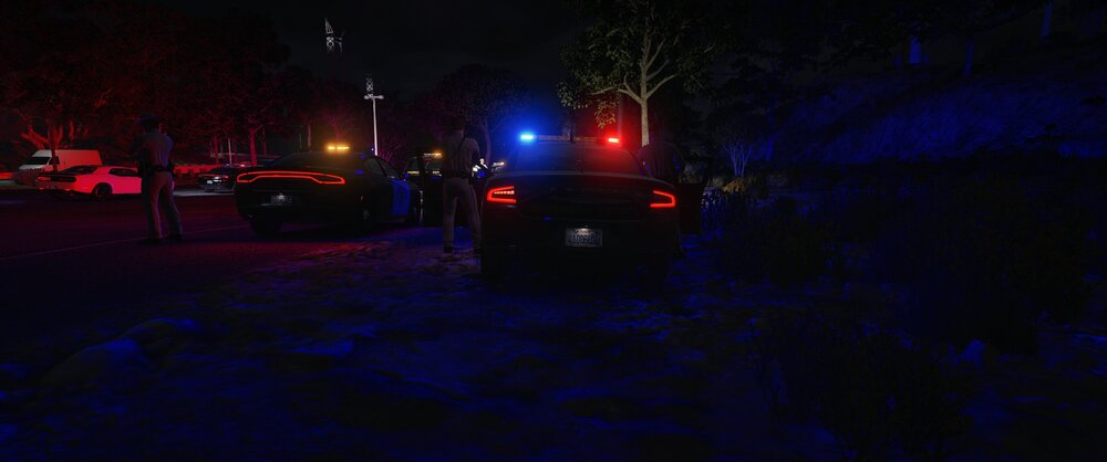 Could contain: outdoor, vehicle, land vehicle, night, street light, tree, darkness, car, light, street, winter, snow, dark