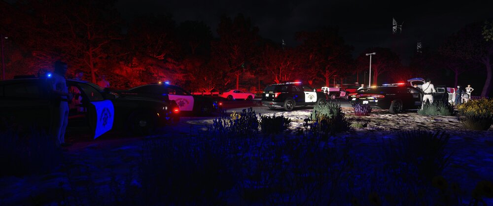 Could contain: outdoor, tree, night, sky, light, dark, christmas