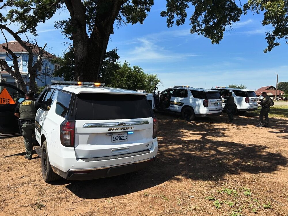 Could contain: outdoor, land vehicle, vehicle, sky, wheel, tire, car, tree, ground, vehicle registration plate, text, motor vehicle, automotive exterior, bumper, auto part, automotive tail & brake light, van, automotive parking light, parked, transport