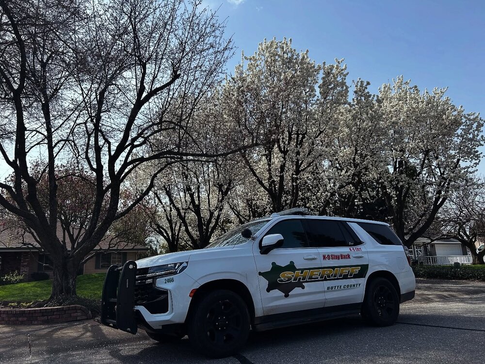 Could contain: vehicle, outdoor, land vehicle, wheel, tire, sky, tree, transport, sport utility vehicle, bumper, auto part, road, automotive exterior, fender, automotive tire, compact sport utility vehicle, motor vehicle, pickup truck, parked, car, ground