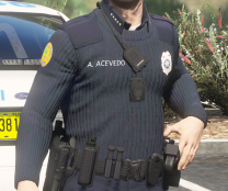 Could contain: person, clothing, outdoor, law enforcement, police officer, man, security, police, officer