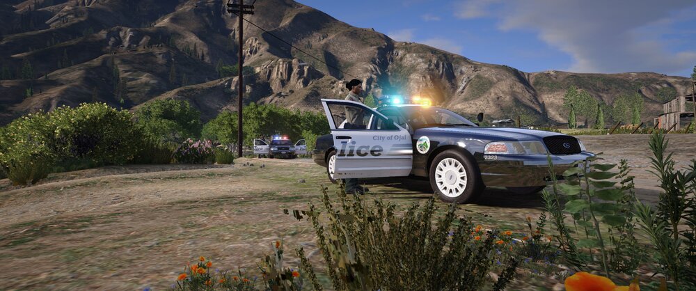 Could contain: outdoor, wheel, vehicle, land vehicle, tire, plant, sky, flower, mountain, grass, car