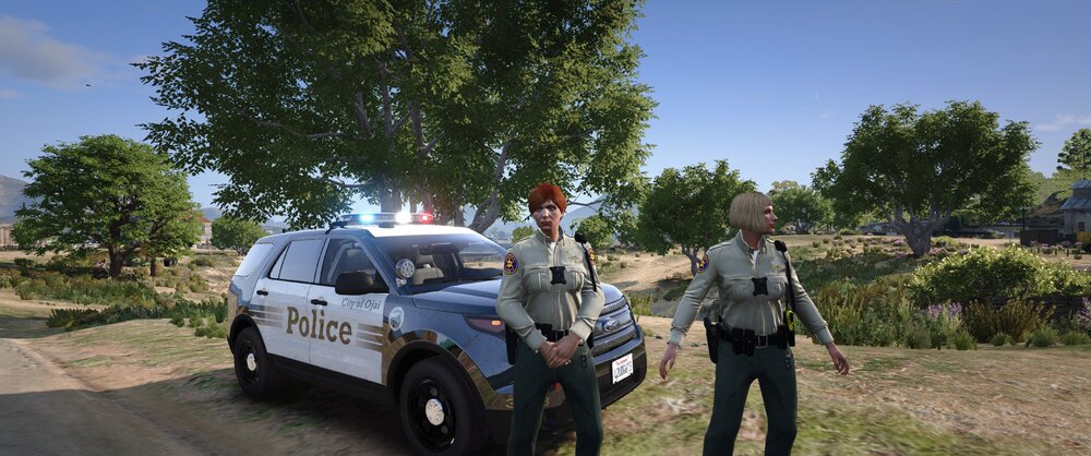 Could contain: outdoor, sky, vehicle, land vehicle, wheel, tree, tire, clothing, person, transport, motor vehicle, road, car, ground