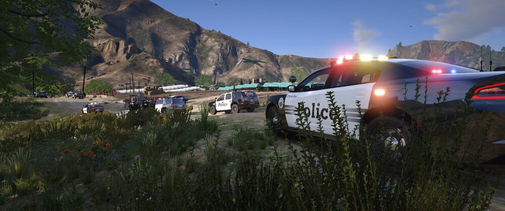 Could contain: outdoor, sky, vehicle, mountain, land vehicle, plant, tree, cloud, grass, plane, area, hillside