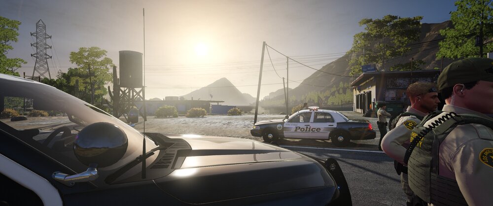 Could contain: outdoor, sky, vehicle, person, clothing, land vehicle, man, tree, police, car, people, officer