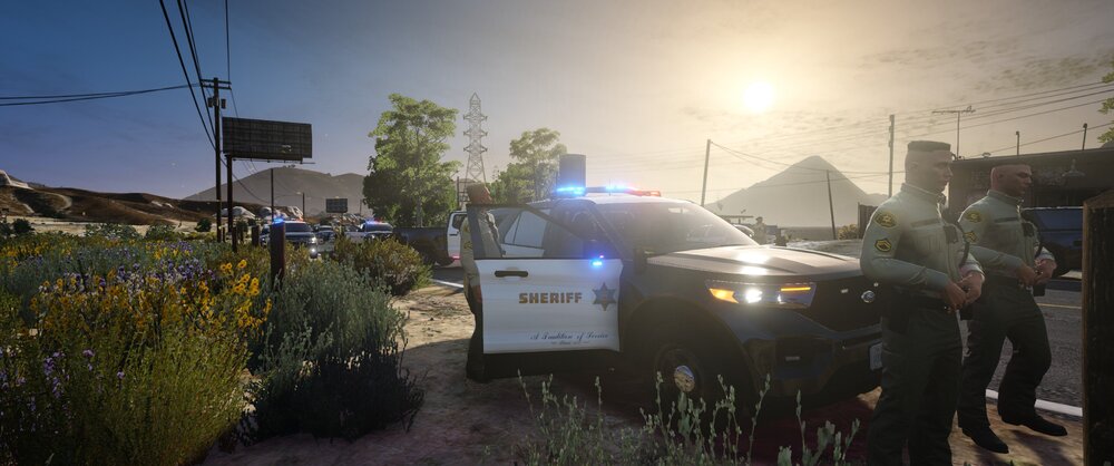 Could contain: outdoor, sky, vehicle, land vehicle, car, plant, person, people, ground, standing, street