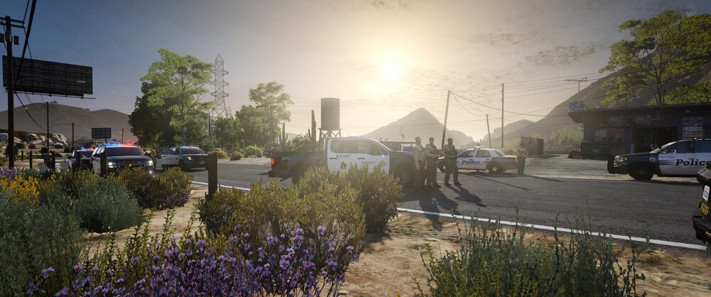 Could contain: outdoor, tree, car, sky, land vehicle, vehicle, plant, road, flower, house, street, way