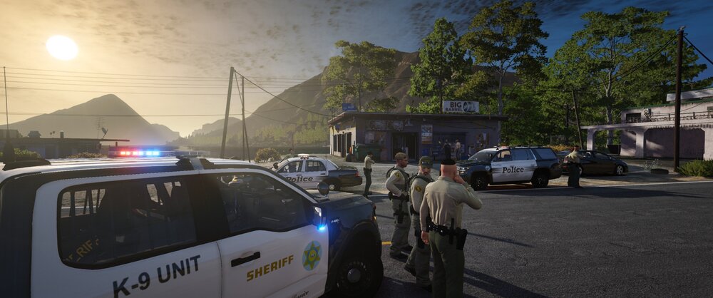 Could contain: outdoor, vehicle, land vehicle, sky, wheel, text, transport, vehicle registration plate, road, tree, automotive tail & brake light, van, law enforcement, family car, street, police, car