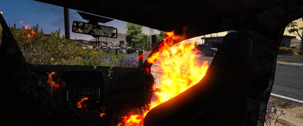 Could contain: outdoor, fire, heat, sky, tree, flame, gas