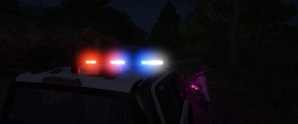 Could contain: outdoor, tree, darkness, sky, night, light