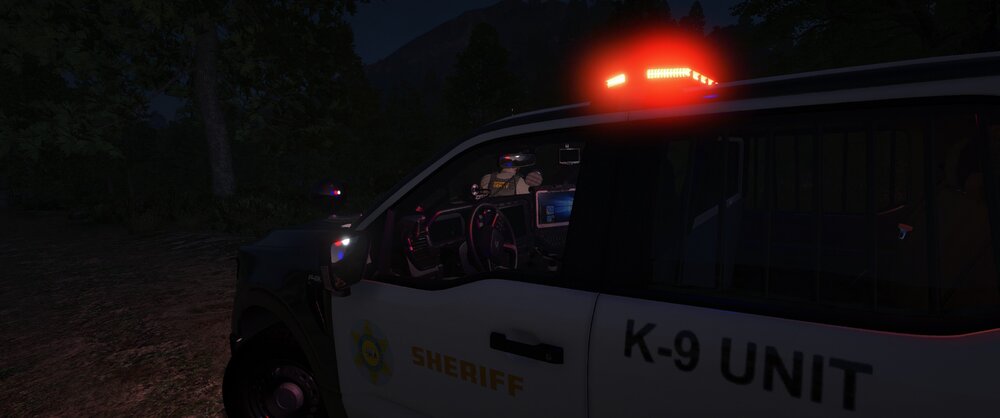 Could contain: outdoor, vehicle, land vehicle, transport, tree, car, light, night