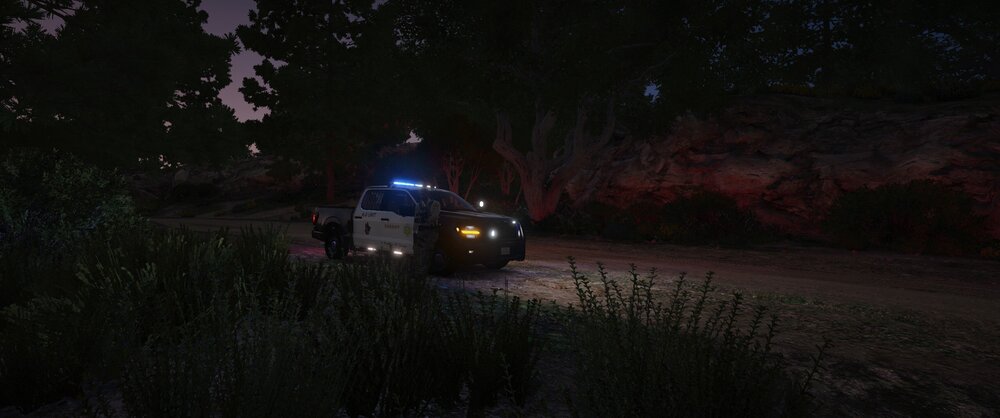 Could contain: land vehicle, outdoor, vehicle, tree, wheel, plant, transport, tire, grass, night, ground, truck