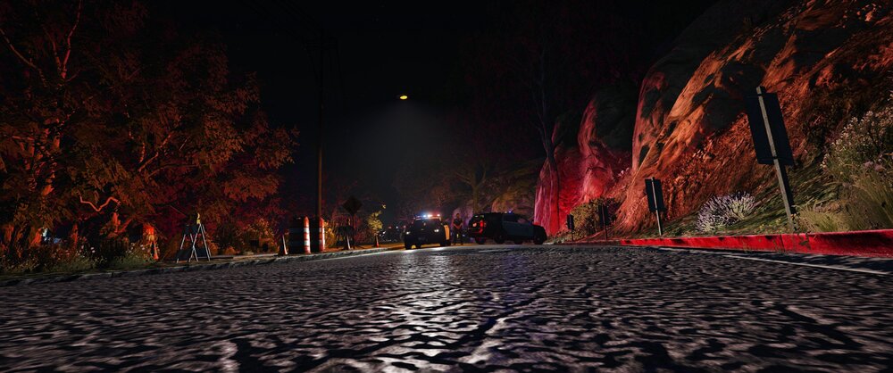 Could contain: outdoor, tree, ground, sky, landscape lighting, darkness, street, night, light