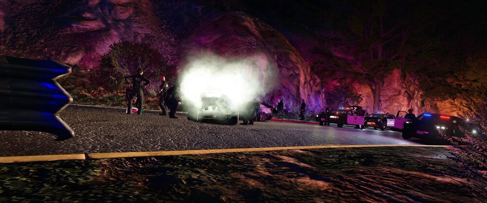 Could contain: cave, tree, outdoor, night, ground, nature