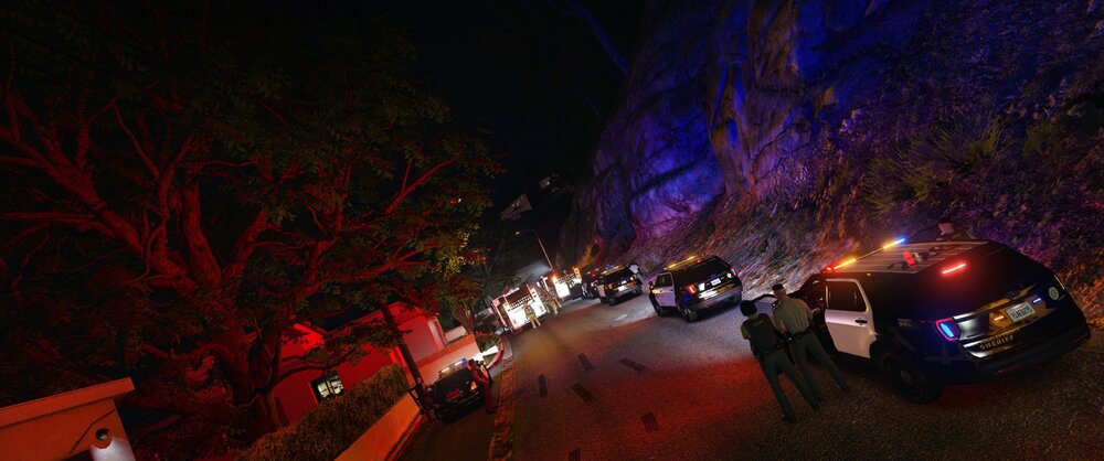 Could contain: outdoor, tree, car, vehicle, night, land vehicle, ground, light, parked, street