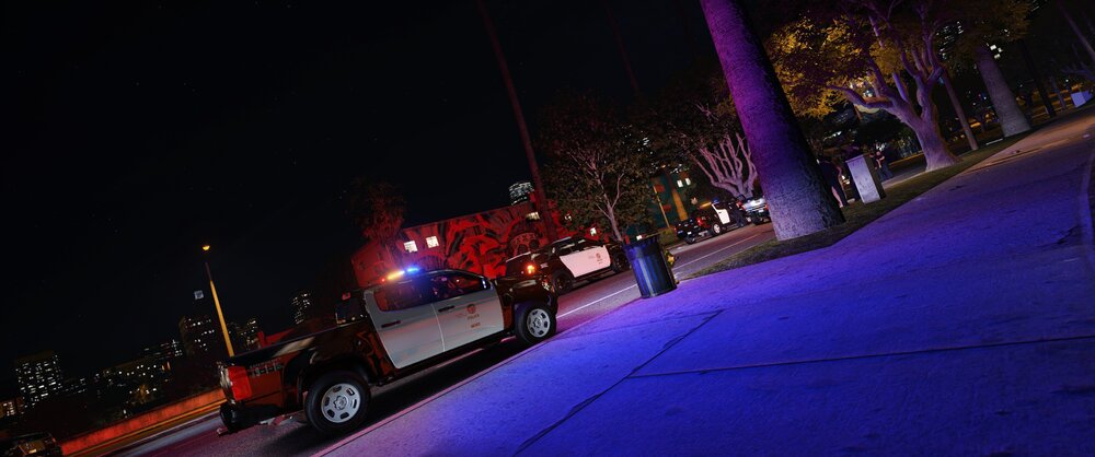 Could contain: outdoor, vehicle, night, land vehicle, street, wheel, car, tree, road, street light, light, city, snow, truck, winter