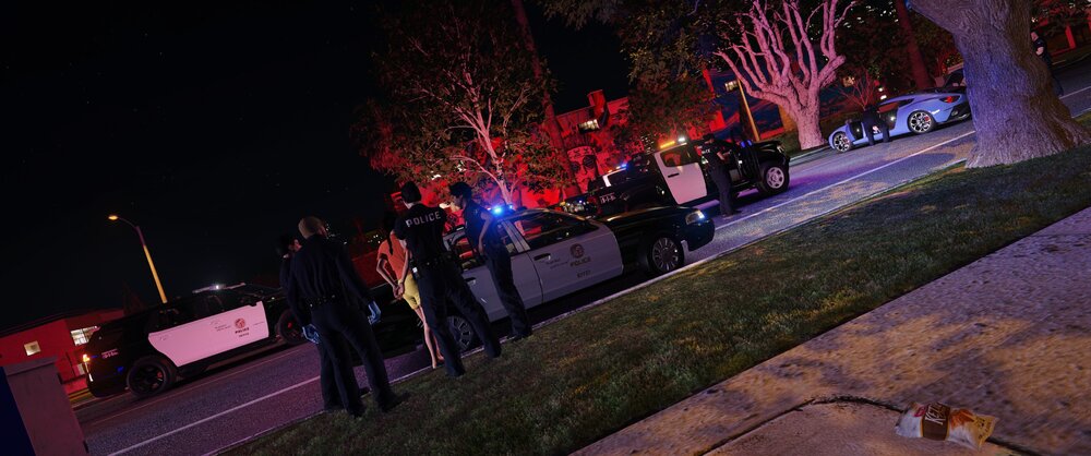 Could contain: outdoor, tree, people, night, street, ground, light, sidewalk, winter