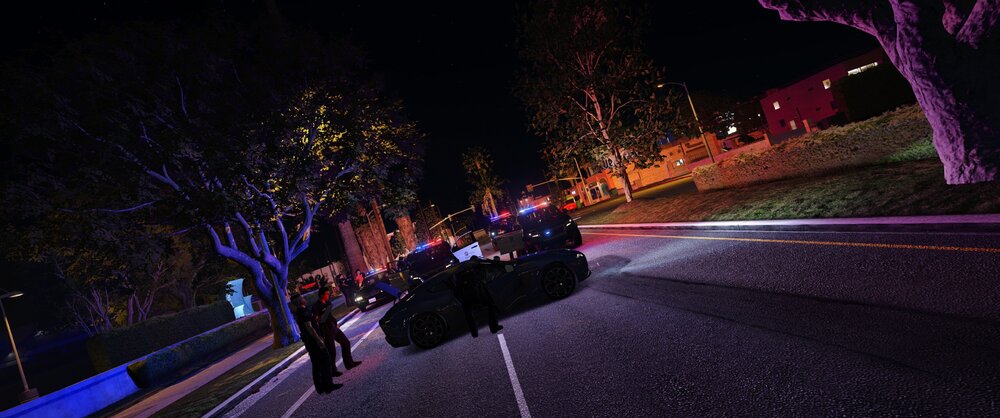 Could contain: outdoor, tree, road, darkness, street, night, people, person, light