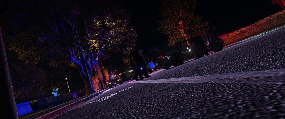 Could contain: tree, outdoor, darkness, majorelle blue, street, night, light, ground